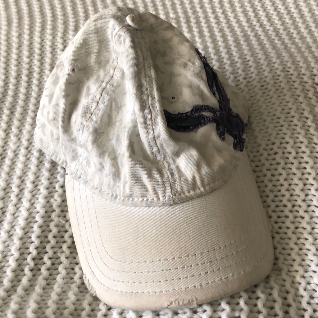 American Eagle Hat